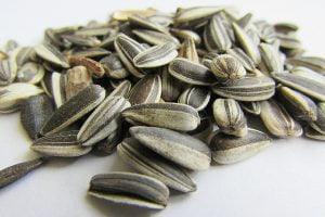 sunflower seeds which are a known antioxidant and source of vitamin B1 and B6