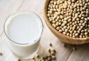 Soy Milk Free Download - SES Research Inc.