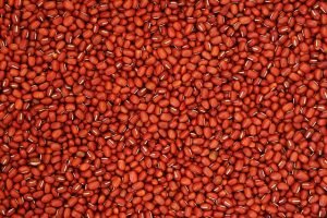 Superfoods Red Bean - SES Research Inc.
