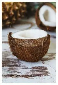 Coconut - SES Research Inc.