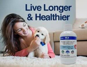 c60 oil oil for pets - woman with a dog
